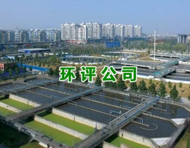 永州东坑环评公司